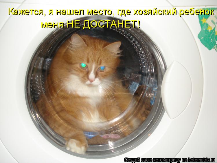 Котоматрица: меня НЕ ДОСТАНЕТ! Кажется, я нашел место, где хозяйский ребенок