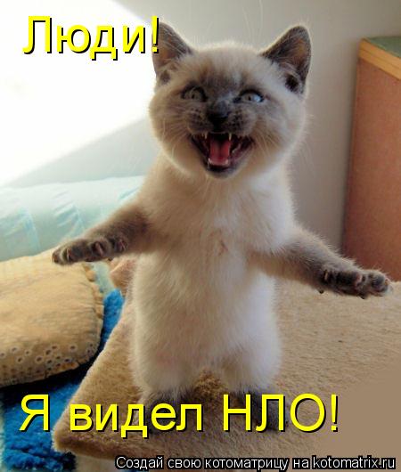 Котоматрица: Люди!  Я видел НЛО!
