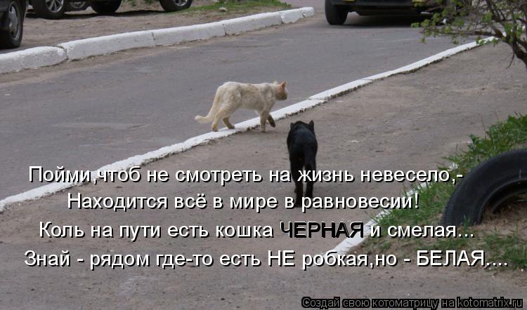 Коль на пути есть кошка ЧЕРНАЯ и смелая... Знай - рядом где-то есть НЕ робкая,но - БЕЛАЯ.... Находитс... Котоматрица: Коль на пути есть кошка ЧЕРНАЯ и смелая... Знай - рядом где-то есть НЕ робкая,но - БЕЛАЯ.... Находится всё в мире в равновесии! Пойми,чтоб не смот