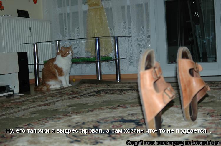 Котоматрица: Ну, его тапочки я выдрессировал. а сам хозяин что- то не поддается...