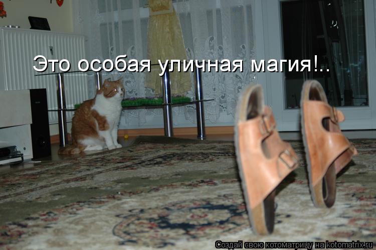 Котоматрица: Это особая уличная магия!..