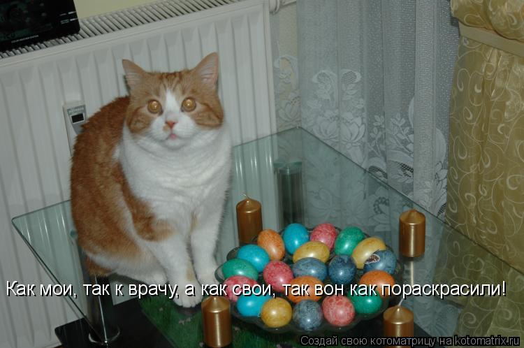 Как мои, так к врачу, а как свои, так вон как пораскрасили!... Котоматрица: Как мои, так к врачу, а как свои, так вон как пораскрасили!
