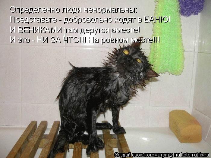 Определенно люди ненормальны: Представьте - добровольно ходят в БАНЮ! И ВЕНИКАМИ там дерутся вместе! ... Котоматрица: Определенно люди ненормальны: Представьте - добровольно ходят в БАНЮ! И ВЕНИКАМИ там дерутся вместе! И это - НИ ЗА ЧТО!!! На ровном месте!!!