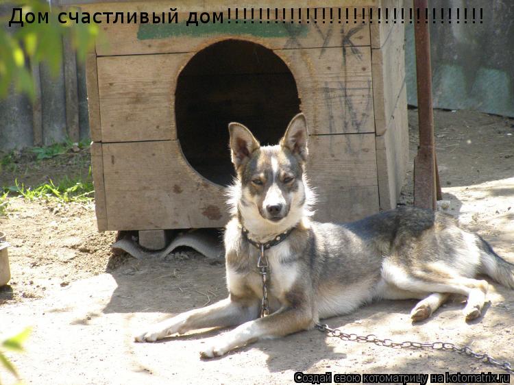 Котоматрица: Дом счастливый дом!!!!!!!!!!!!!!!!!!!!!!!!!!!!!!!!!