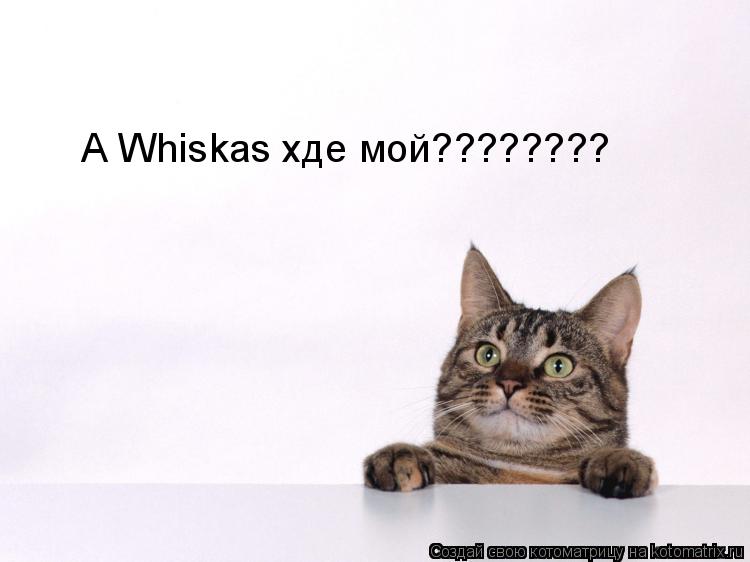 Котоматрица: А Whiskas хде мой????????