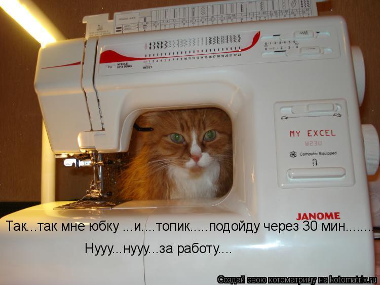Котоматрица: Так...так мне юбку ...и....топик.....подойду через 30 мин........ Нууу...нууу...за работу....