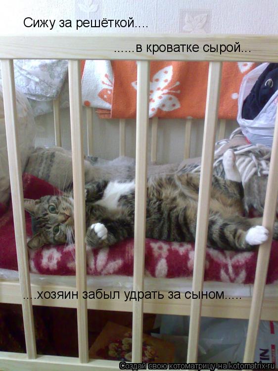 Котоматрица: Сижу за решёткой.... ......в кроватке сырой... ....хозяин забыл удрать за сыном.....