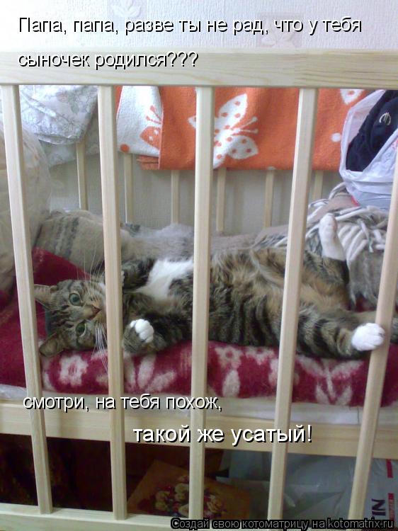 Котоматрица: Папа, папа, разве ты не рад, что у тебя сыночек родился??? смотри, на тебя похож, такой же усатый!
