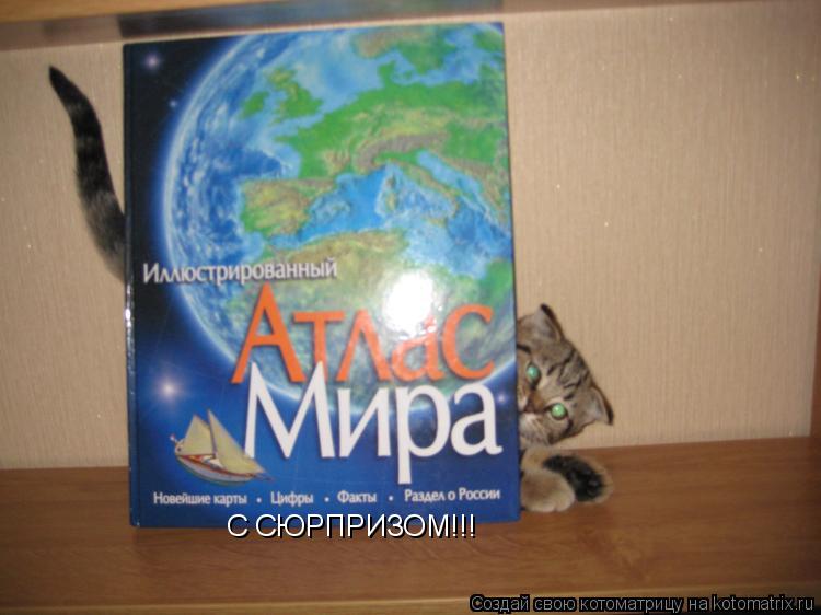 Котоматрица: С СЮРПРИЗОМ!!!