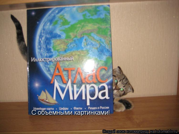 Котоматрица: С объемными картинками!