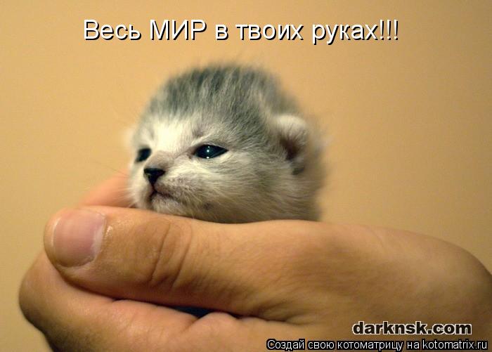Котоматрица: Весь МИР в твоих руках!!!
