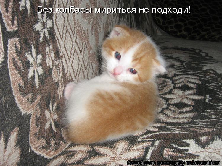 Котоматрица: Без колбасы мириться не подходи!