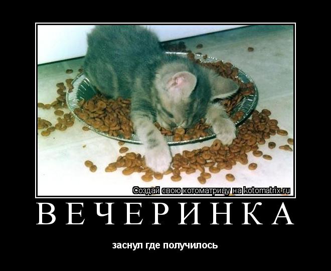 вечеринка заснул где получилось... Котоматрица: вечеринка заснул где получилось