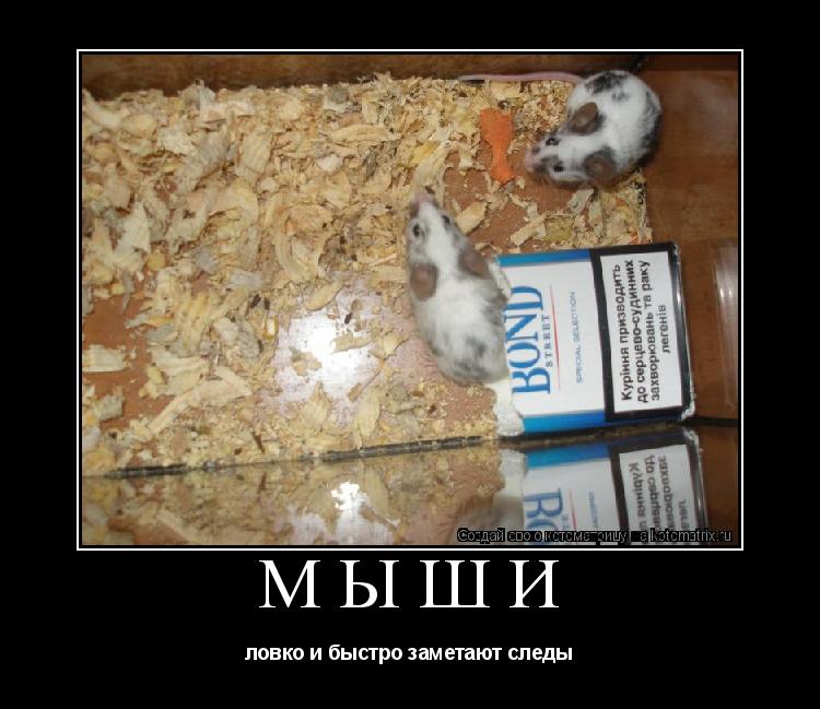 мыши ловко и быстро заметают следы... Котоматрица: мыши ловко и быстро заметают следы
