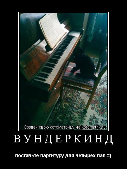 Котоматрица: вундеркинд поставьте партитуру для четырех лап =)