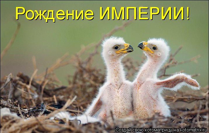 Рождение ИМПЕРИИ!... Котоматрица: Рождение ИМПЕРИИ!