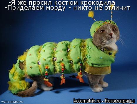 -Я же просил костюм крокодила -Приделаем морду - никто не отличит... Котоматрица: -Я же просил костюм крокодила -Приделаем морду - никто не отличит
