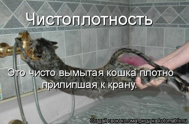 Чистоплотность Это чисто вымытая кошка плотно прилипшая к крану.... Котоматрица: Чистоплотность Это чисто вымытая кошка плотно прилипшая к крану.