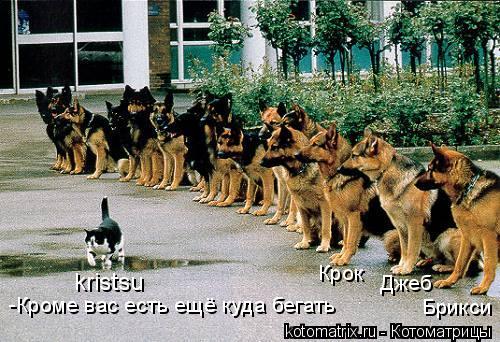 kristsu Джеб Брикси Крок -Кроме вас есть ещё куда бегать... Котоматрица: kristsu Джеб Брикси Крок -Кроме вас есть ещё куда бегать