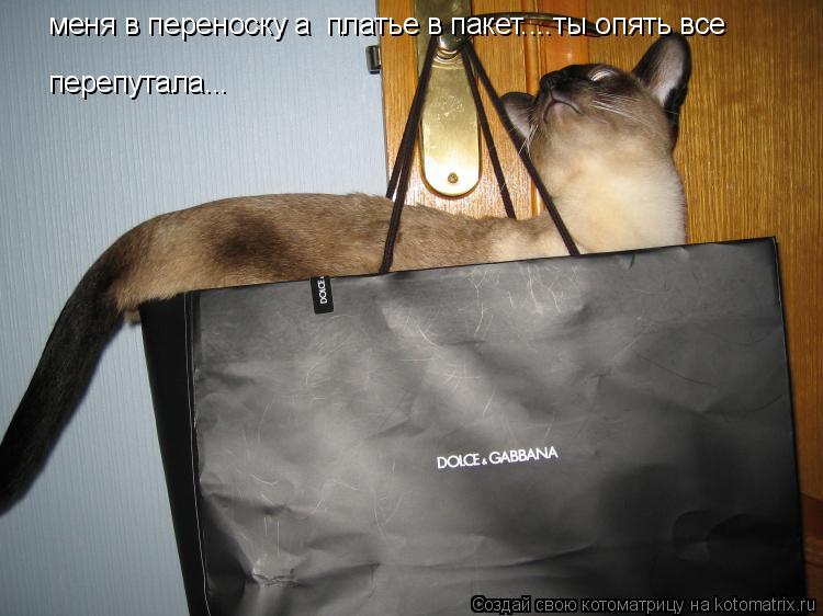 меня в переноску а платье в пакет....ты опять все перепутала...... Котоматрица: меня в переноску а платье в пакет....ты опять все перепутала...