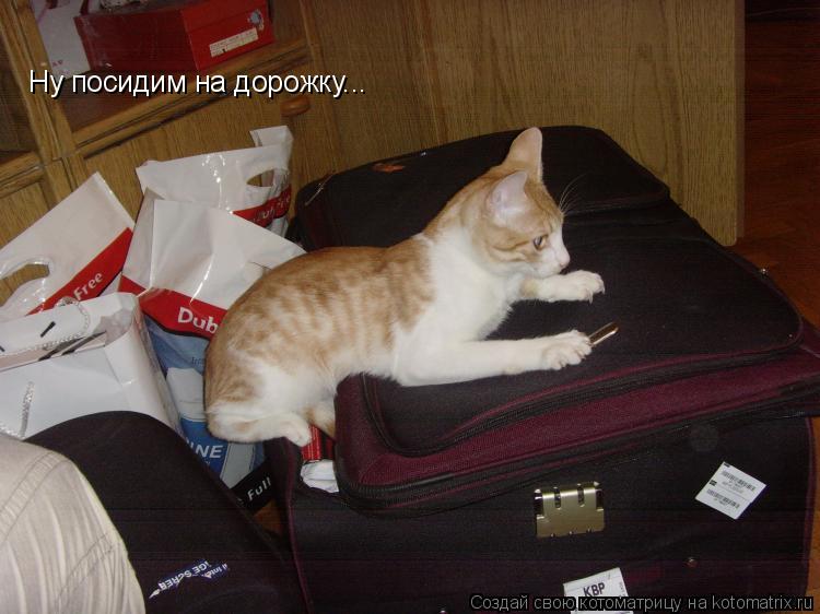 Котоматрица: Ну посидим на дорожку...
