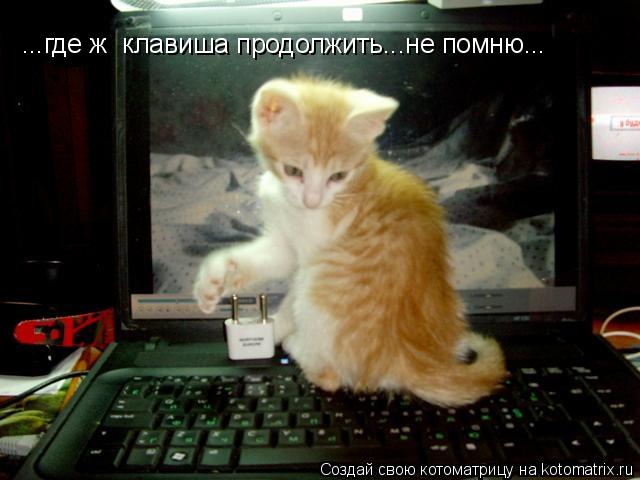 ...где ж клавиша продолжить...не помню...... Котоматрица: ...где ж клавиша продолжить...не помню...