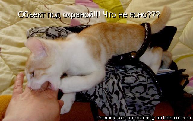 Объект под охраной!!! Что не ясно???... Котоматрица: Объект под охраной!!! Что не ясно???