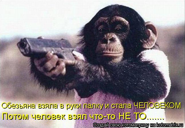 Обезьяна взяла в руки палку и стала ЧЕЛОВЕКОМ Потом человек взял что-то НЕ ТО.......... Котоматрица: Обезьяна взяла в руки палку и стала ЧЕЛОВЕКОМ Потом человек взял что-то НЕ ТО.......