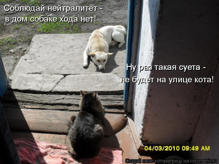 Котоматрица: Соблюдай нейтралитет - в дом собаке хода нет! Ну раз такая суета Ну раз такая суета - не будет на улице кота!