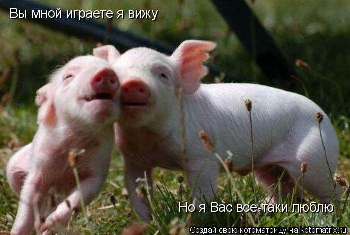 Вы мной играете я вижу Но я Вас все-таки люблю... Котоматрица: Вы мной играете я вижу Но я Вас все-таки люблю