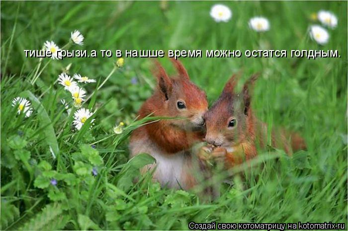тише грызи.а то в нашше время можно остатся голдным.... Котоматрица: тише грызи.а то в нашше время можно остатся голдным.