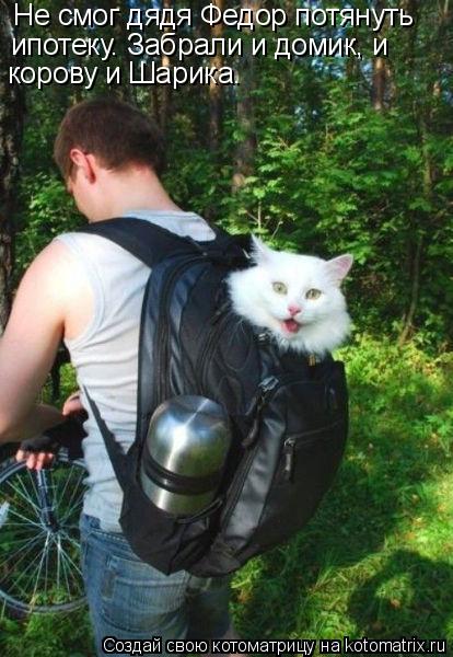 Не смог дядя Федор потянуть ипотеку. Забрали и домик, и корову и Шарика.... Котоматрица: Не смог дядя Федор потянуть ипотеку. Забрали и домик, и корову и Шарика.
