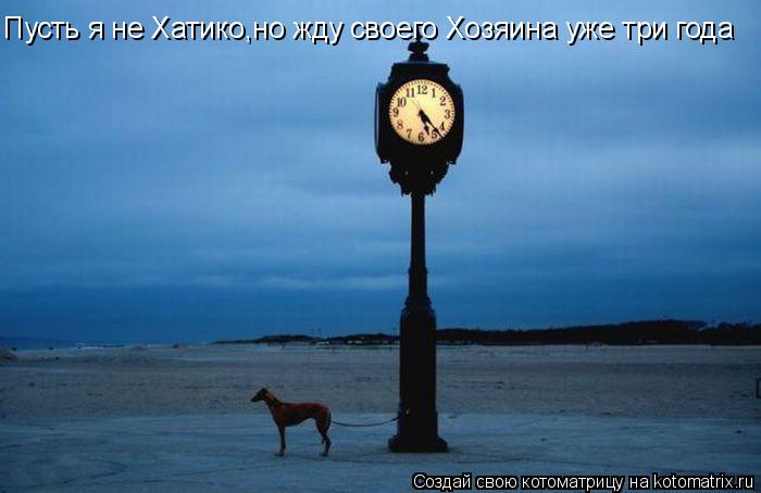Пусть я не Хатико,но жду своего Хозяина уже три года... Котоматрица: Пусть я не Хатико,но жду своего Хозяина уже три года