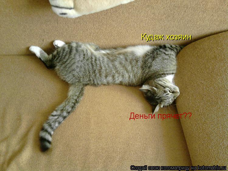 Кудаж хозяин Деньги прячет??... Котоматрица: Кудаж хозяин Деньги прячет??
