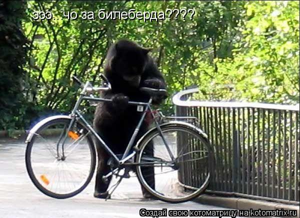 эээ...чо за билеберда????... Котоматрица: эээ...чо за билеберда????