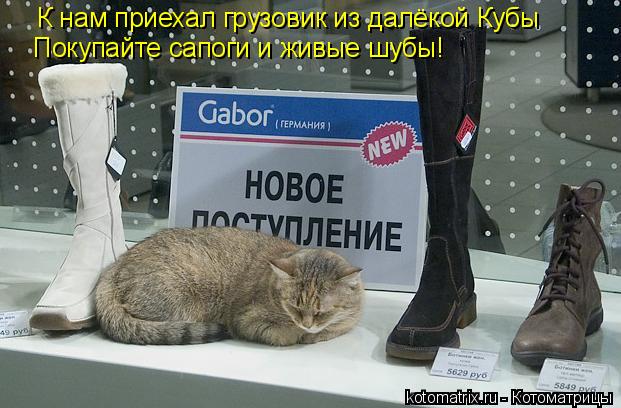 К нам приехал грузовик из далёкой Кубы Покупайте сапоги и живые шубы!... Котоматрица: К нам приехал грузовик из далёкой Кубы Покупайте сапоги и живые шубы!