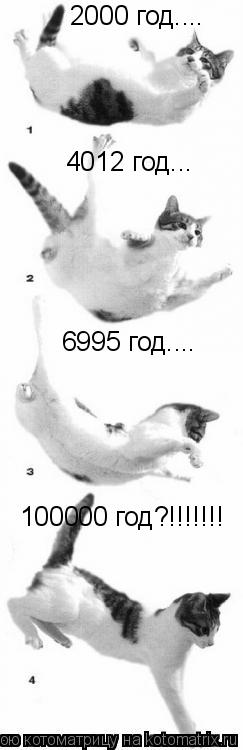 2000 год.... 4012 год... 6995 год.... 100000 год?!!!!!!!... Котоматрица: 2000 год.... 4012 год... 6995 год.... 100000 год?!!!!!!!