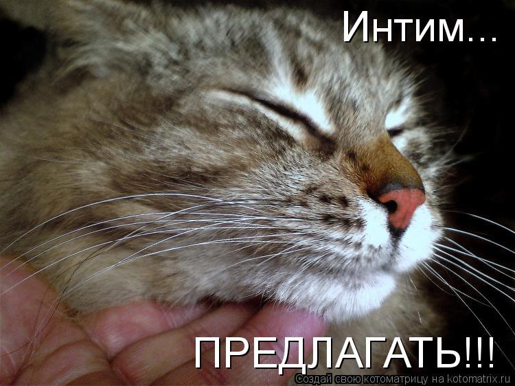 Интим... ПРЕДЛАГАТЬ!!!... Котоматрица: Интим... ПРЕДЛАГАТЬ!!!