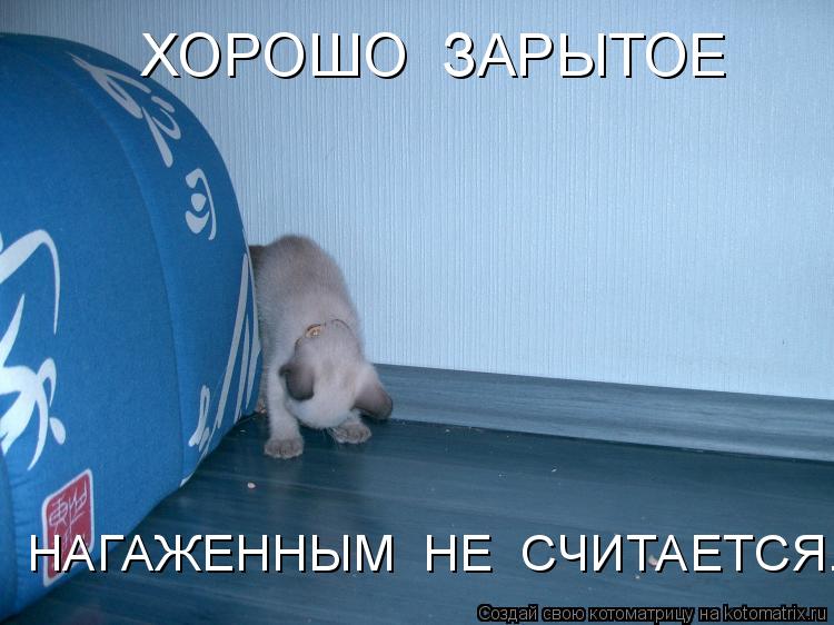 Котоматрица: ХОРОШО  ЗАРЫТОЕ НАГАЖЕННЫМ  НЕ  СЧИТАЕТСЯ.