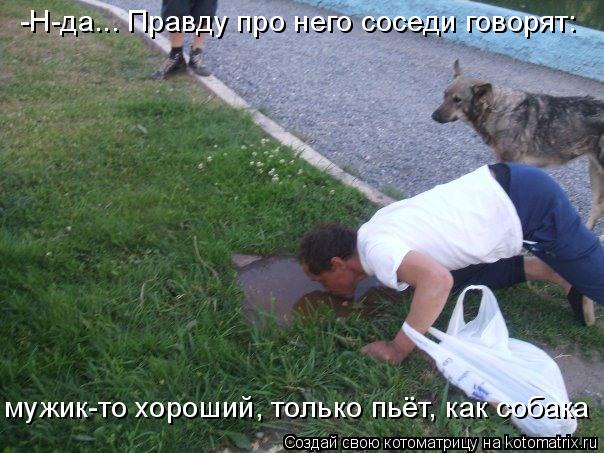 Котоматрица: -Н-да... Правду про него соседи говорят: мужик-то хороший, только пьёт, как собака