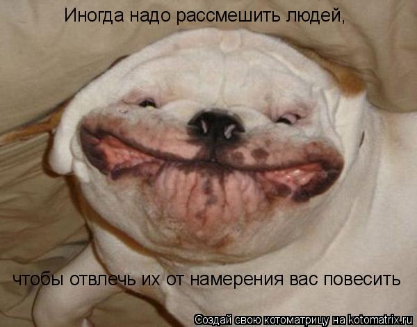 Иногда надо рассмешить людей, чтобы отвлечь их от намерения вас повесить... Котоматрица: Иногда надо рассмешить людей, чтобы отвлечь их от намерения вас повесить