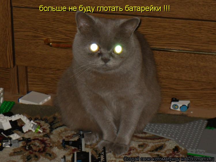 больше не буду глотать батарейки !!!... Котоматрица: больше не буду глотать батарейки !!!