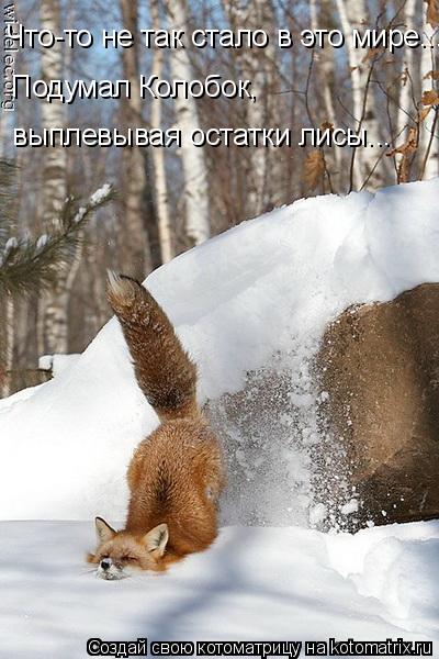 Что-то не так стало в это мире... Подумал Колобок, выплевывая остатки лисы...... Котоматрица: Что-то не так стало в это мире... Подумал Колобок, выплевывая остатки лисы...