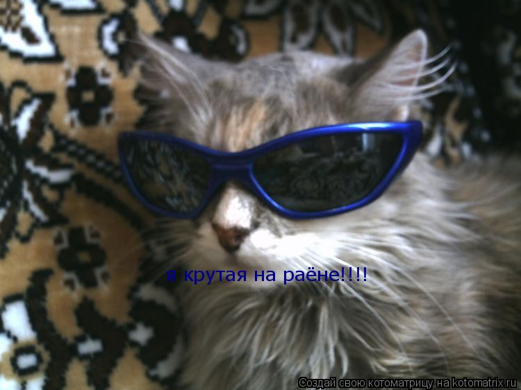 я крутая на раёне!!!!... Котоматрица: я крутая на раёне!!!!