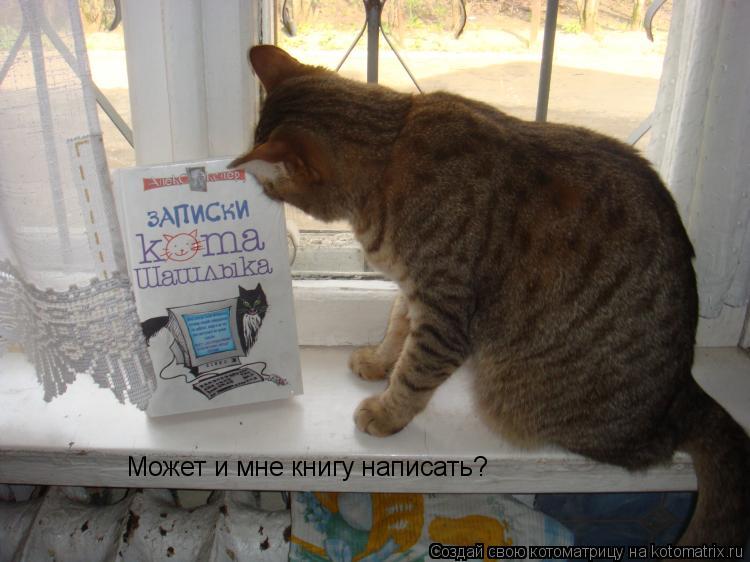 Может и мне книгу написать?... Котоматрица: Может и мне книгу написать?