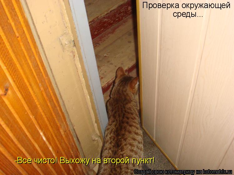Проверка окружающей среды... -Все чисто! Выхожу на второй пункт!... Котоматрица: Проверка окружающей среды... -Все чисто! Выхожу на второй пункт!