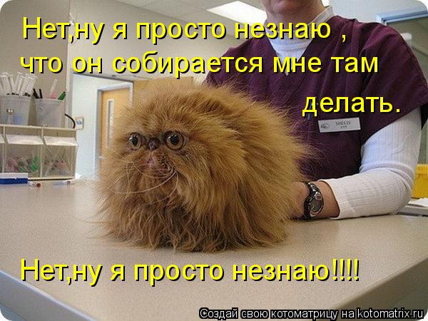 Нет,ну я просто незнаю , что он собирается мне там делать. Нет,ну я просто незнаю!!!!... Котоматрица: Нет,ну я просто незнаю , что он собирается мне там делать. Нет,ну я просто незнаю!!!!