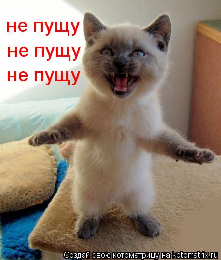 не пущу не пущу не пущу... Котоматрица: не пущу не пущу не пущу