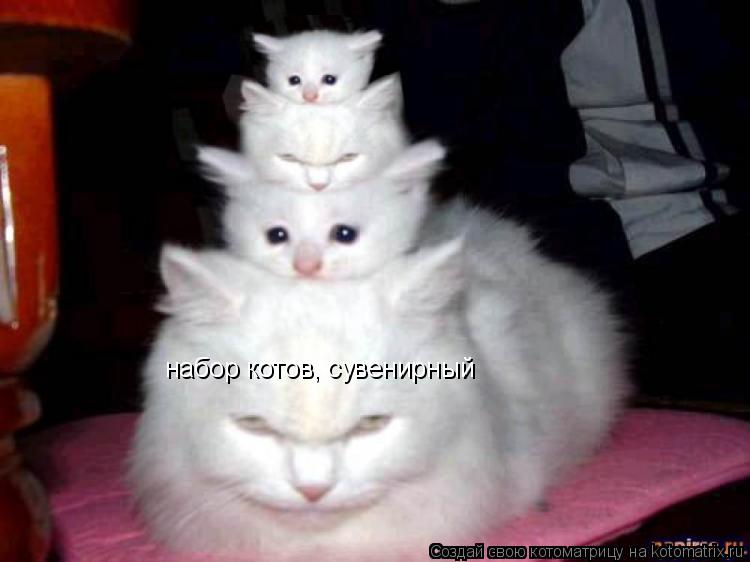 набор котов, сувенирный... Котоматрица: набор котов, сувенирный