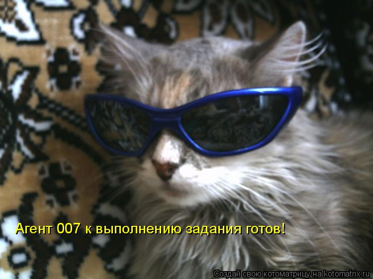 Агент 007 к выполнению задания готов!... Котоматрица: Агент 007 к выполнению задания готов!